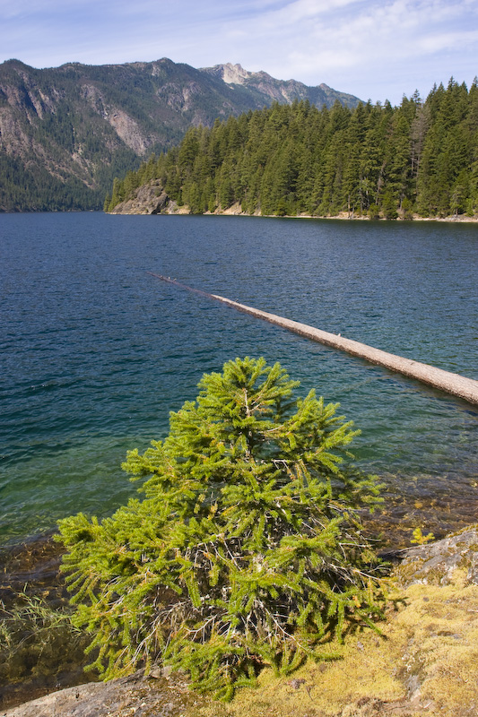 Ross Lake